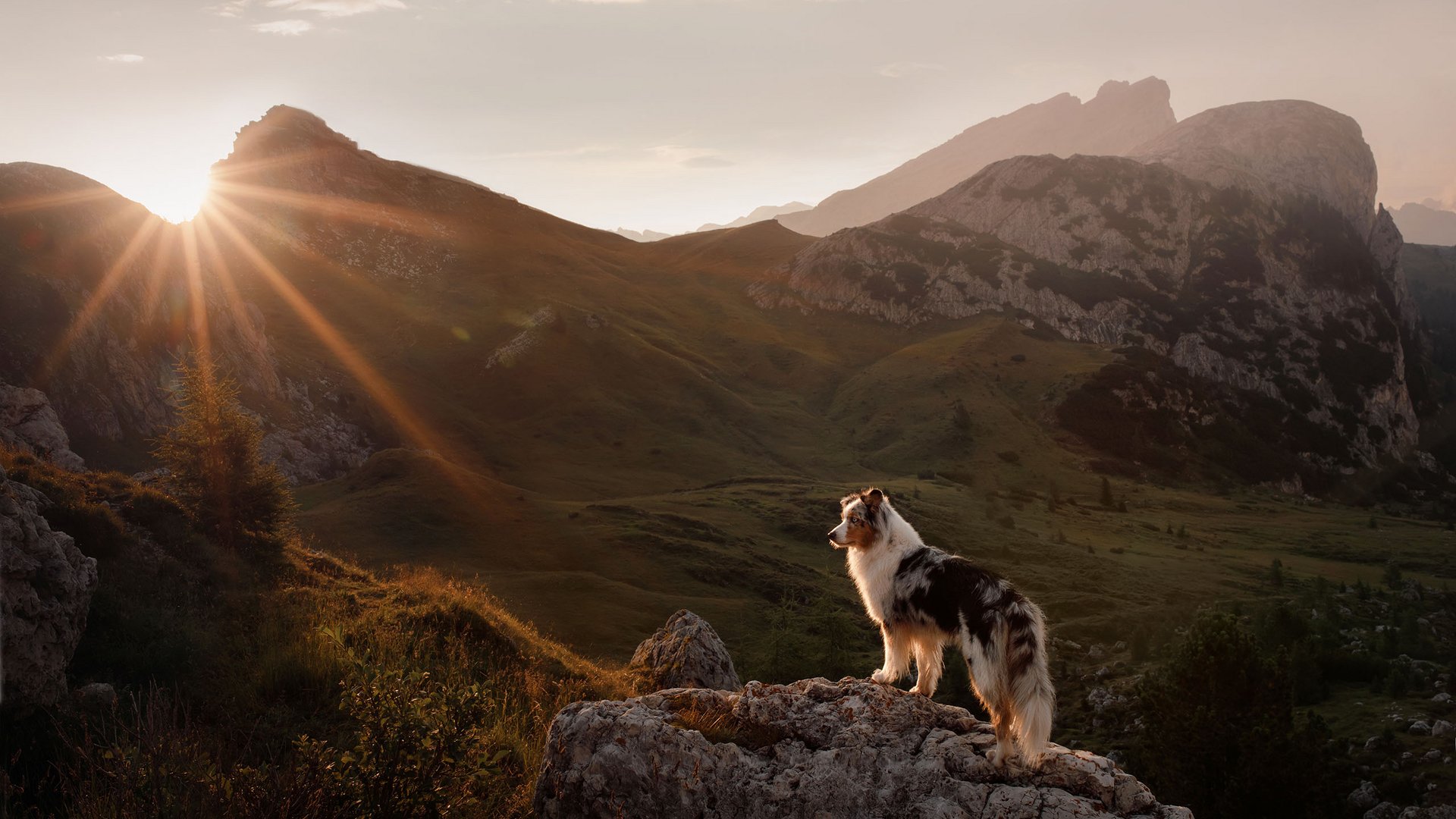 Lechs Berge Sommer