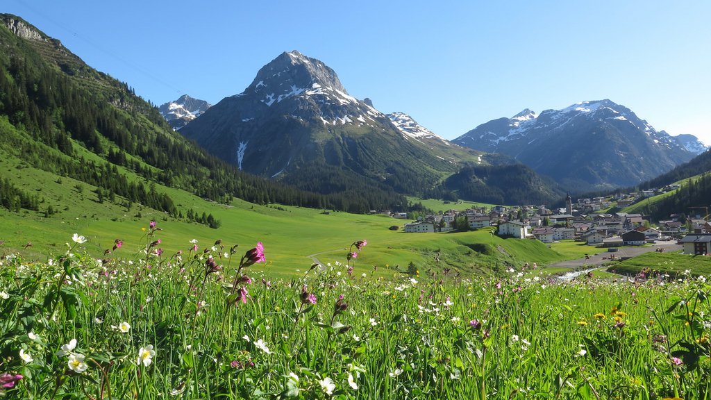 Grüne Wiese mit Blumen vor schneebedeckten Bergen und Dorf im Tal