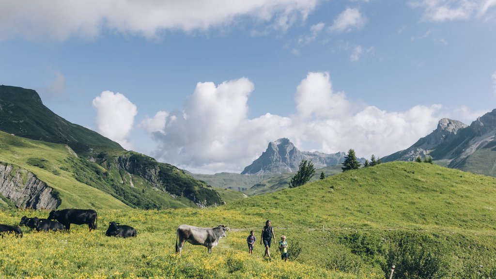 People walking on a flower-covered alpine meadow with cows and mountains in the background