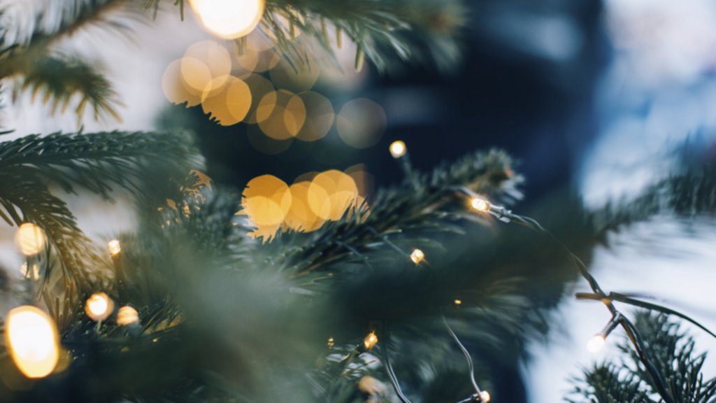 Adventzauber Weihnachtsbaumzweige mit warmen Lichterketten im unscharfen Hintergrund