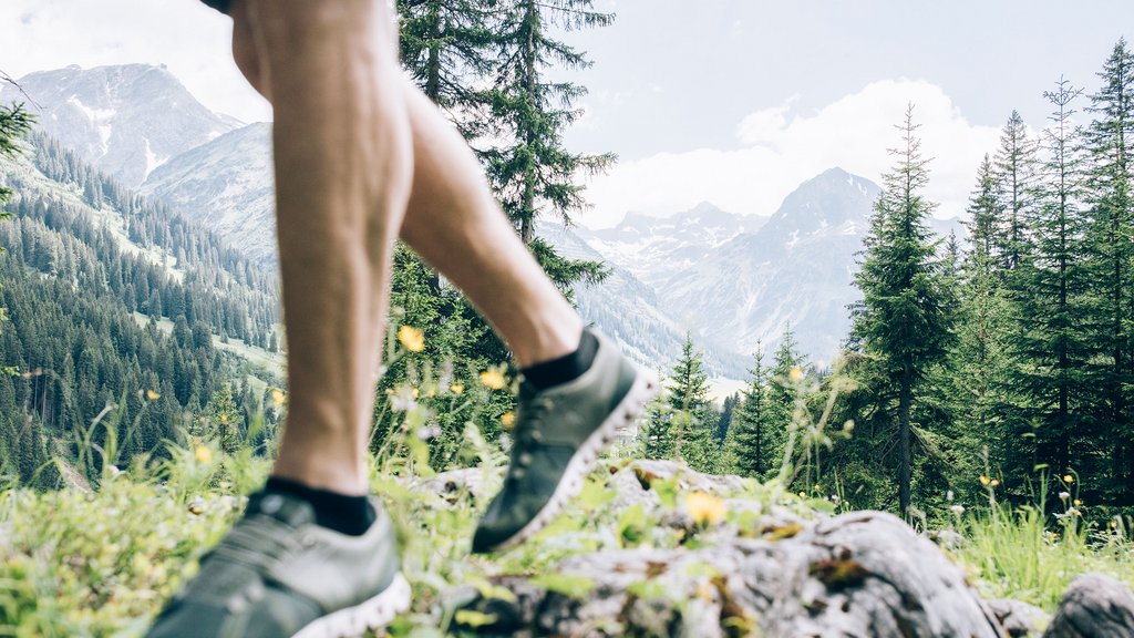 Summer at the Arlberg