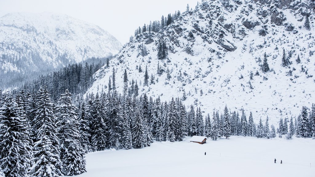 Winterlandschaft Lech