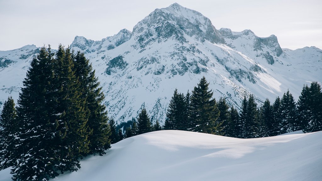 Winterlandschaft Lech