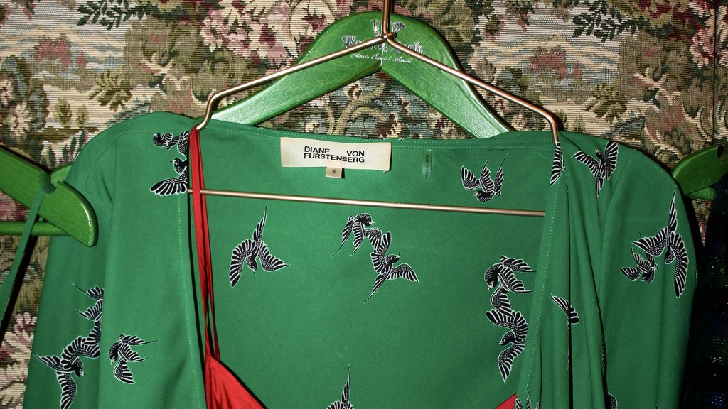 Green dress with bird pattern and red silk top on deer coat hook