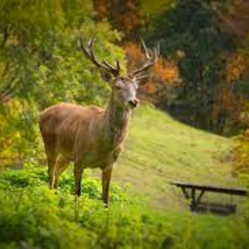 Sights on the Arlberg