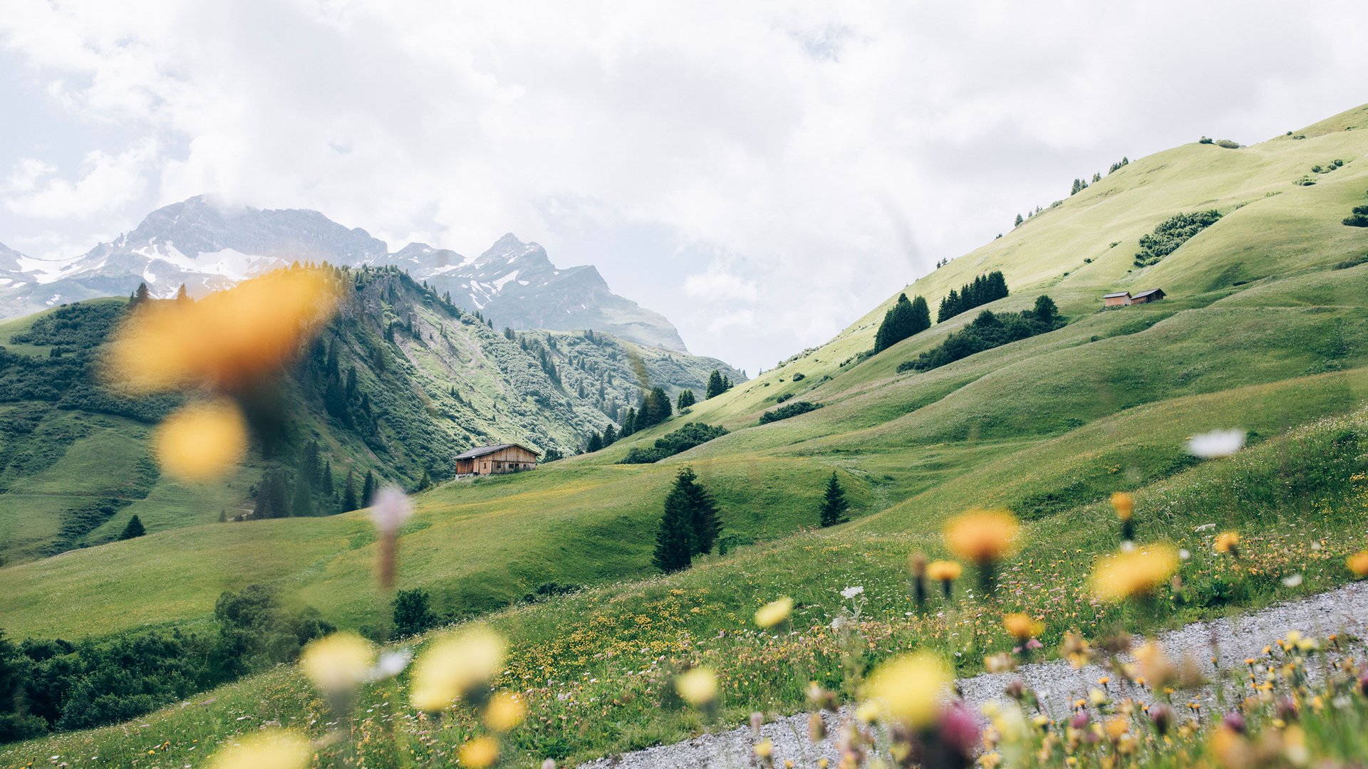 Lechs Berge Sommer