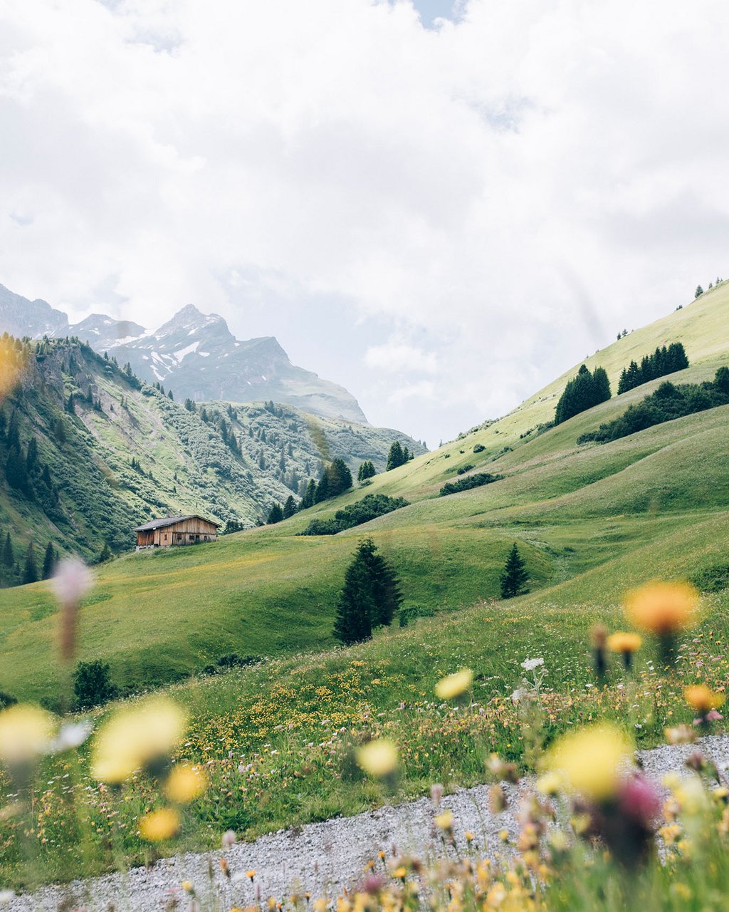 Lechs Berge Sommer