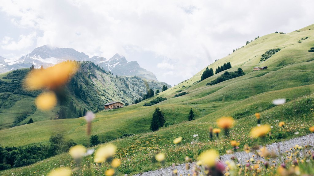 Lechs Berge Sommer