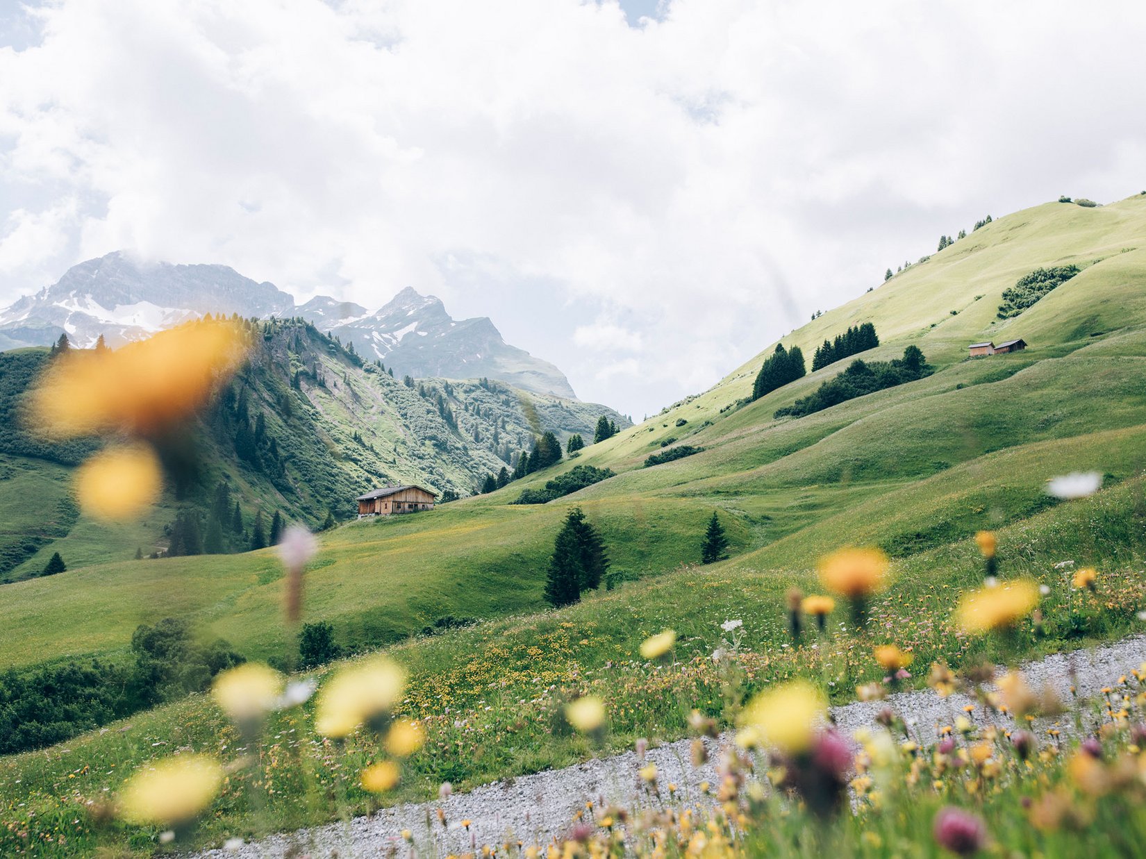 Lechs Berge Sommer